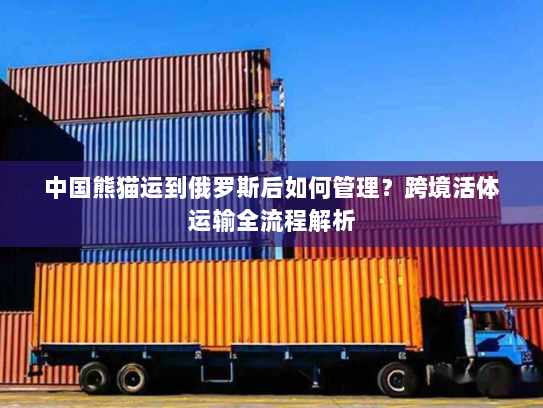 中国熊猫运到俄罗斯后如何管理?跨境活体运输全流程解析 中国熊猫运到俄罗斯后如何管理?跨境活体运输全流程解析