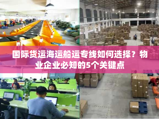 国际货运海运船运专线如何选择?物业企业必知的5个关键点 国际货运海运船运专线如何选择?物业企业必知的5个关键点