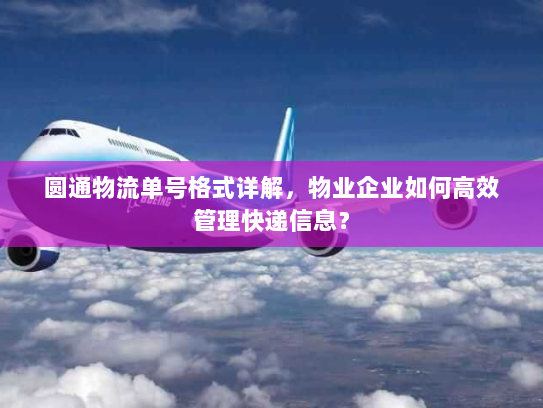 圆通物流单号格式详解，物业企业如何高效管理快递信息？
