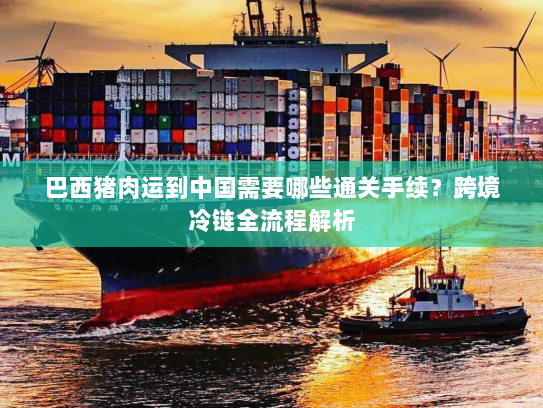 巴西猪肉运到中国需要哪些通关手续？跨境冷链全流程解析