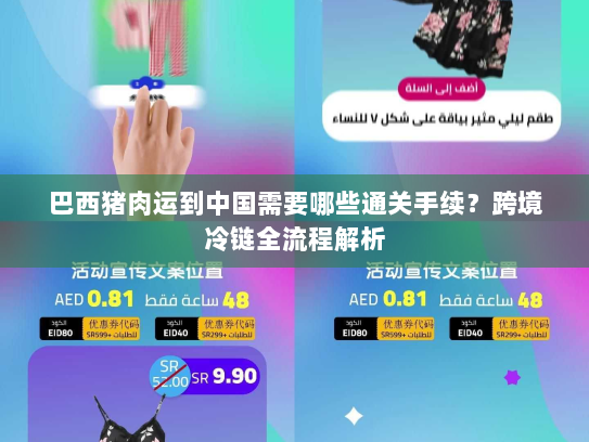 巴西猪肉运到中国需要哪些通关手续？跨境冷链全流程解析