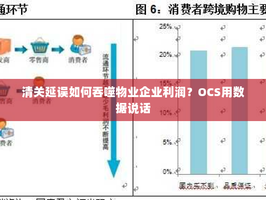 清关延误如何吞噬物业企业利润？OCS用数据说话