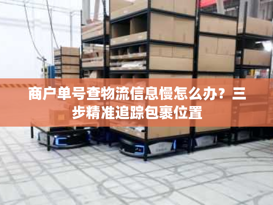 商户单号查物流信息慢怎么办？三步精准追踪包裹位置