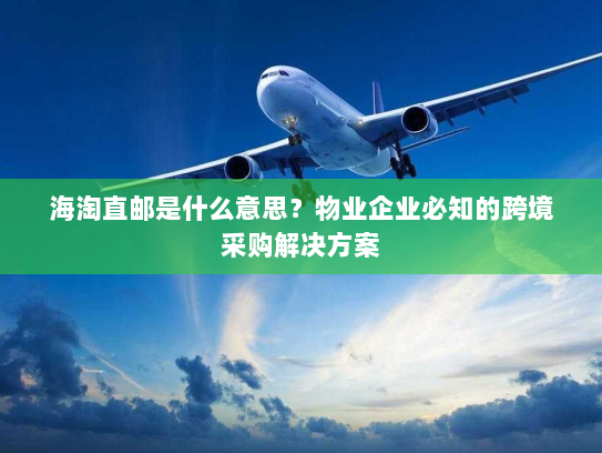 海淘直邮是什么意思?物业企业必知的跨境采购解决方案 海淘直邮是什么意思?物业企业必知的跨境采购解决方案