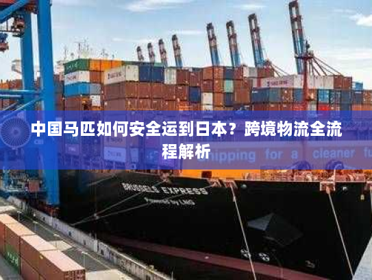 中国马匹如何安全运到日本?跨境物流全流程解析 中国马匹如何安全运到日本?跨境物流全流程解析