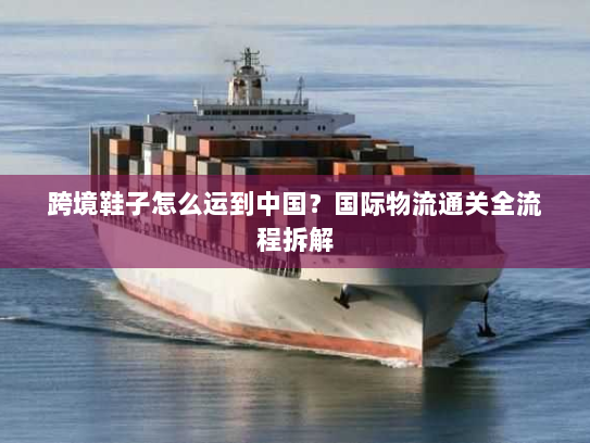 跨境鞋子怎么运到中国?国际物流通关全流程拆解 跨境鞋子怎么运到中国?国际物流通关全流程拆解