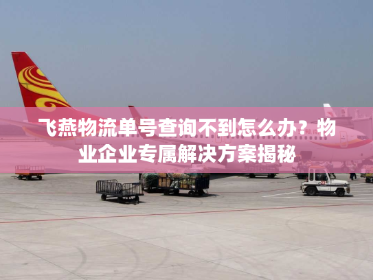 飞燕物流单号查询不到怎么办？物业企业专属解决方案揭秘