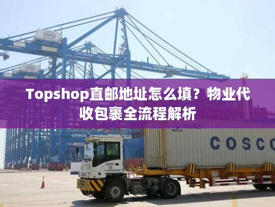 Topshop直邮地址怎么填？物业代收包裹全流程解析