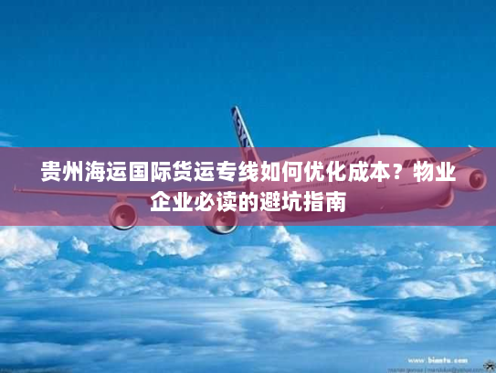 贵州海运国际货运专线如何优化成本？物业企业必读的避坑指南
