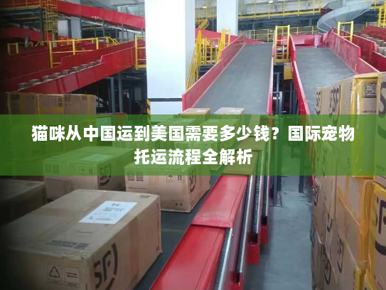 猫咪从中国运到美国需要多少钱?国际宠物托运流程全解析 猫咪从中国运到美国需要多少钱?国际宠物托运流程全解析