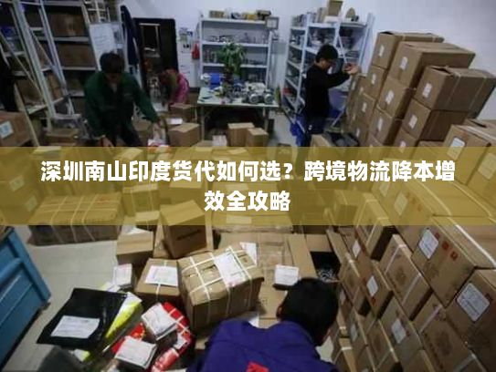 深圳南山印度货代如何选?跨境物流降本增效全攻略 深圳南山印度货代如何选?跨境物流降本增效全攻略