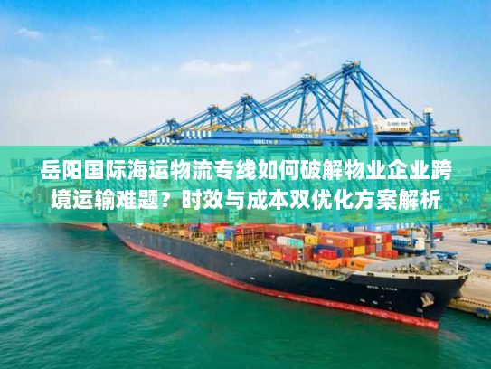 岳阳国际海运物流专线如何破解物业企业跨境运输难题？时效与成本双优化方案解析