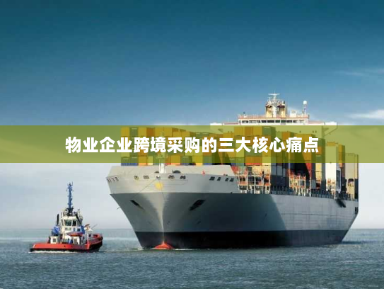 物业企业跨境采购的三大核心痛点