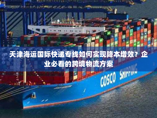天津海运国际快递专线如何实现降本增效?企业必看的跨境物流方案 天津海运国际快递专线如何实现降本增效?企业必看的跨境物流方案