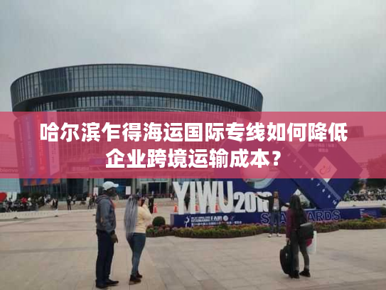 哈尔滨乍得海运国际专线如何降低企业跨境运输成本？