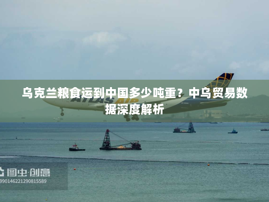 乌克兰粮食运到中国多少吨重?中乌贸易数据深度解析 乌克兰粮食运到中国多少吨重?中乌贸易数据深度解析