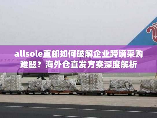 allsole直邮如何破解企业跨境采购难题?海外仓直发方案深度解析 allsole直邮如何破解企业跨境采购难题?海外仓直发方案深度解析