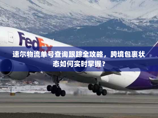 速尔物流单号查询跟踪全攻略，跨境包裹状态如何实时掌握？