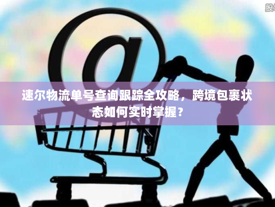 速尔物流单号查询跟踪全攻略，跨境包裹状态如何实时掌握？