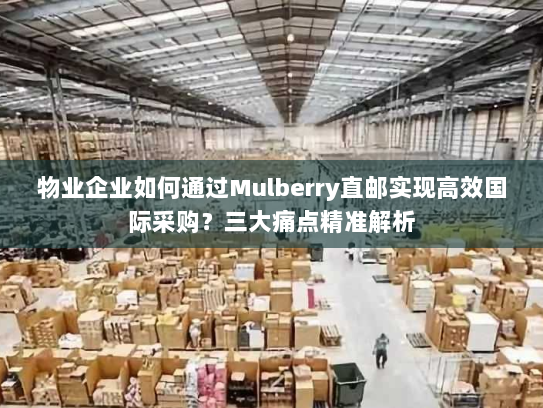 物业企业如何通过Mulberry直邮实现高效国际采购?三大痛点精准解析 物业企业如何通过Mulberry直邮实现高效国际采购?三大痛点精准解析