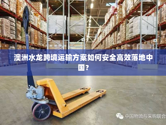 澳洲水龙跨境运输方案如何安全高效落地中国? 澳洲水龙跨境运输方案如何安全高效落地中国?