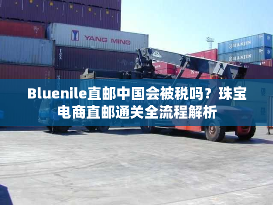 Bluenile直邮中国会被税吗？珠宝电商直邮通关全流程解析