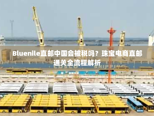 Bluenile直邮中国会被税吗?珠宝电商直邮通关全流程解析 Bluenile直邮中国会被税吗?珠宝电商直邮通关全流程解析