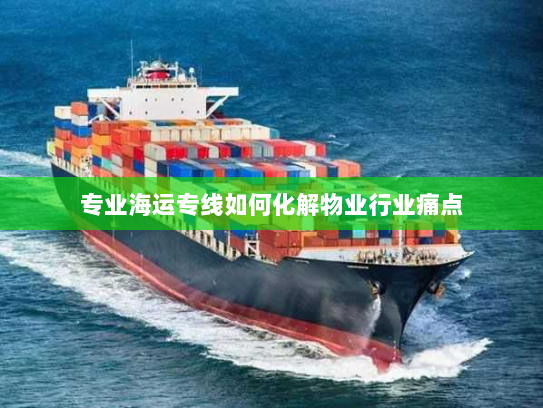 专业海运专线如何化解物业行业痛点 专业海运专线如何化解物业行业痛点
