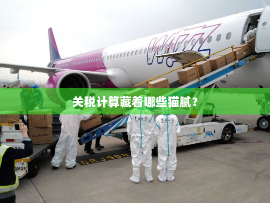 关税计算藏着哪些猫腻? 关税计算藏着哪些猫腻?