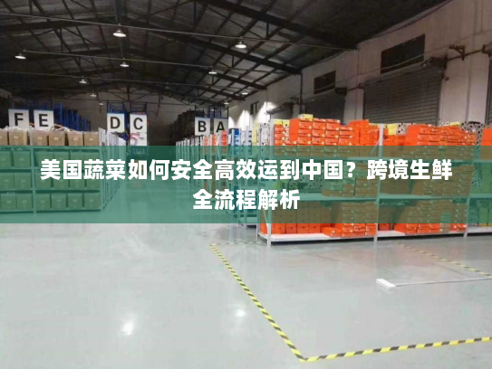 美国蔬菜如何安全高效运到中国？跨境生鲜全流程解析
