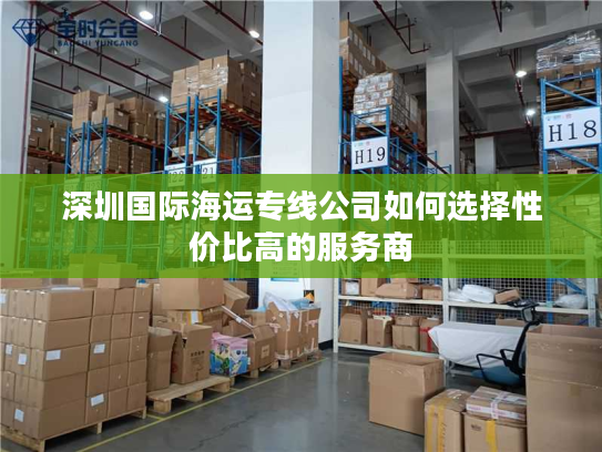 深圳国际海运专线公司如何选择性价比高的服务商
