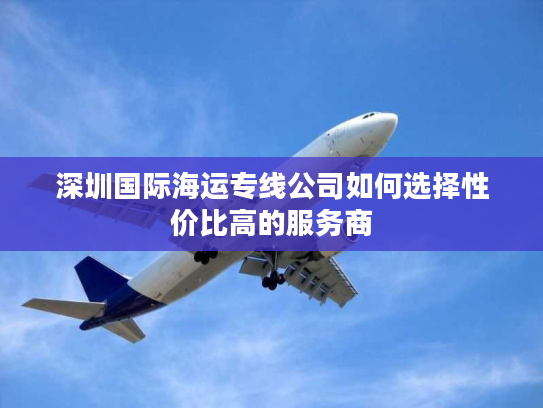 深圳国际海运专线公司如何选择性价比高的服务商