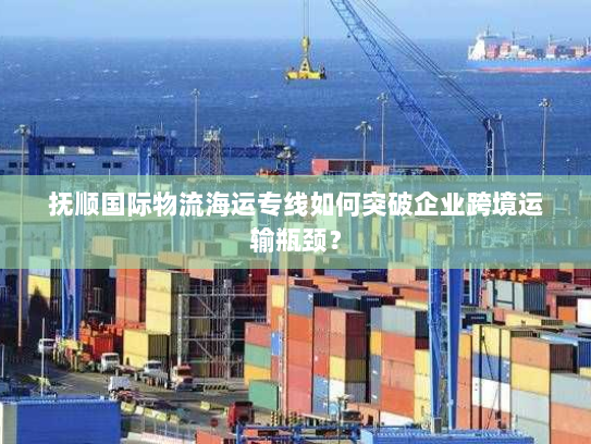 抚顺国际物流海运专线如何突破企业跨境运输瓶颈？