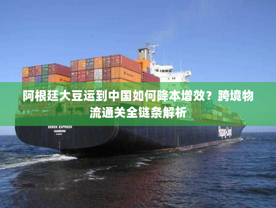 阿根廷大豆运到中国如何降本增效?跨境物流通关全链条解析 阿根廷大豆运到中国如何降本增效?跨境物流通关全链条解析