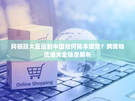 阿根廷大豆运到中国如何降本增效?跨境物流通关全链条解析 阿根廷大豆运到中国如何降本增效?跨境物流通关全链条解析