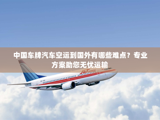 中国车牌汽车空运到国外有哪些难点？专业方案助您无忧运输
