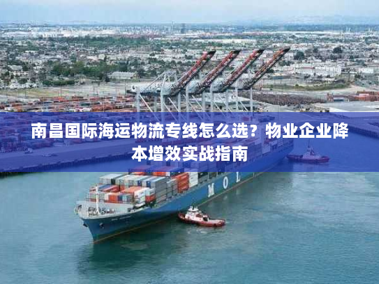 南昌国际海运物流专线怎么选？物业企业降本增效实战指南