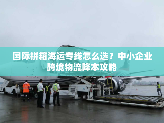 国际拼箱海运专线怎么选？中小企业跨境物流降本攻略