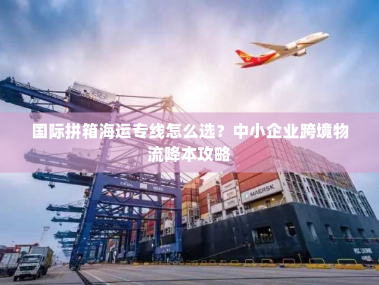 国际拼箱海运专线怎么选？中小企业跨境物流降本攻略