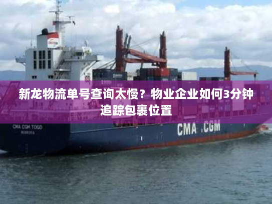 新龙物流单号查询太慢?物业企业如何3分钟追踪包裹位置 新龙物流单号查询太慢?物业企业如何3分钟追踪包裹位置