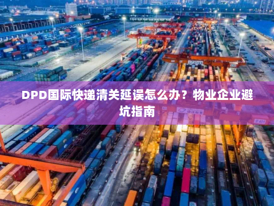 DPD国际快递清关延误怎么办？物业企业避坑指南