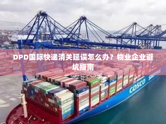 DPD国际快递清关延误怎么办？物业企业避坑指南