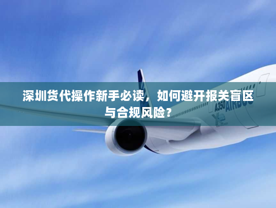 深圳货代操作新手必读,如何避开报关盲区与合规风险? 深圳货代操作新手必读,如何避开报关盲区与合规风险?