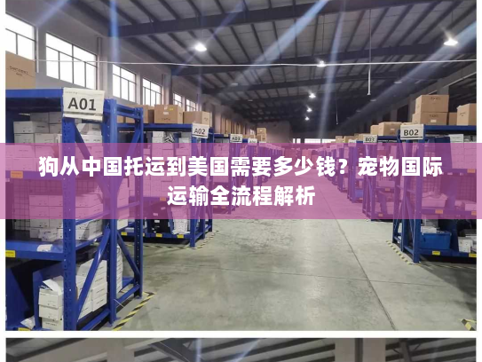 狗从中国托运到美国需要多少钱？宠物国际运输全流程解析