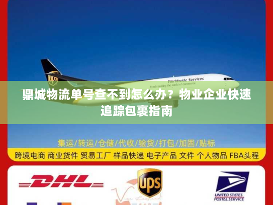 鼎城物流单号查不到怎么办?物业企业快速追踪包裹指南 鼎城物流单号查不到怎么办?物业企业快速追踪包裹指南