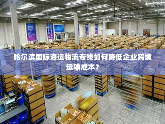 哈尔滨国际海运物流专线如何降低企业跨境运输成本？