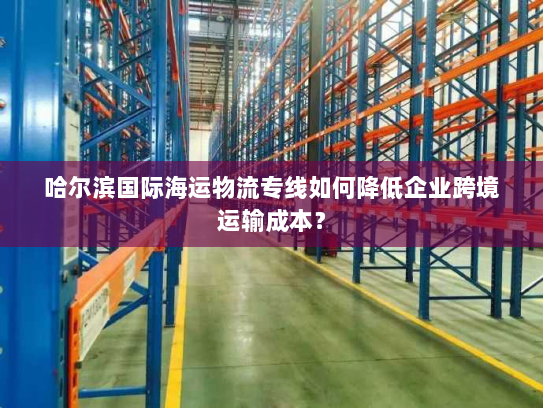 哈尔滨国际海运物流专线如何降低企业跨境运输成本？