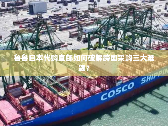 鲁鲁日本代购直邮如何破解跨国采购三大难题? 鲁鲁日本代购直邮如何破解跨国采购三大难题?