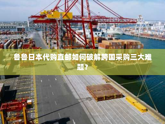 鲁鲁日本代购直邮如何破解跨国采购三大难题? 鲁鲁日本代购直邮如何破解跨国采购三大难题?