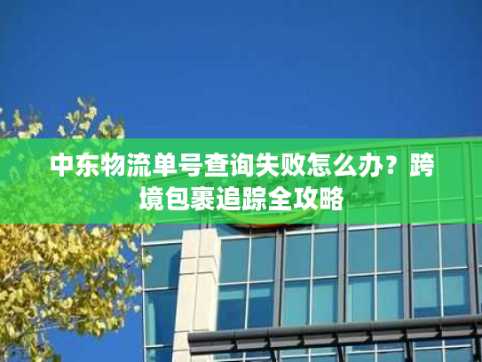 中东物流单号查询失败怎么办？跨境包裹追踪全攻略